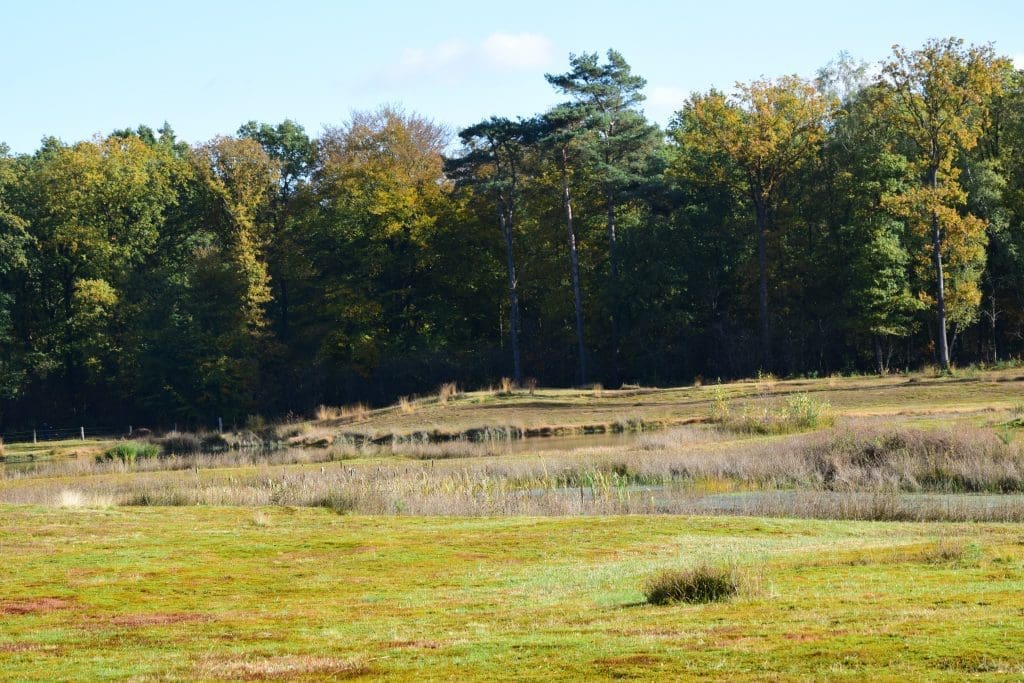 waarom is de Achterhoek zo mooi