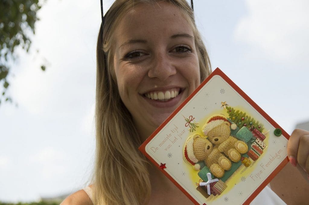 decemberzegels van Sandd