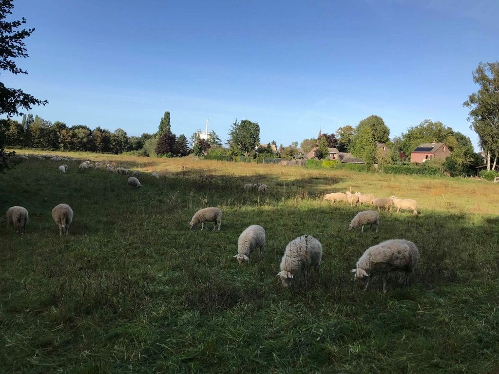 Waarom Doetinchem zo mooi is