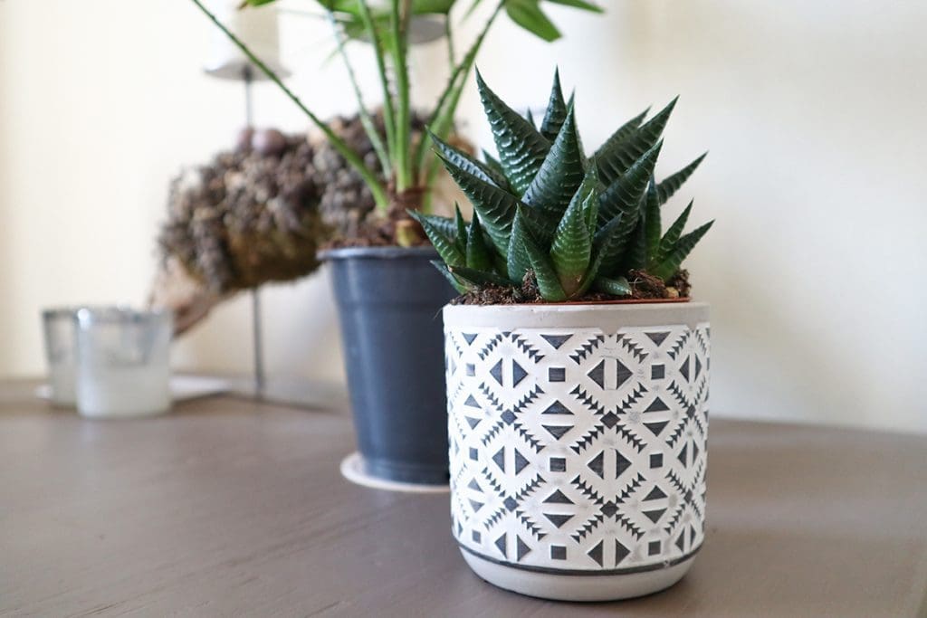 thuisquarantaine shoplog