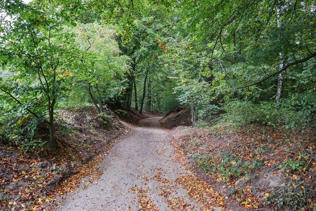 foto's van een mooie herfstwandeling