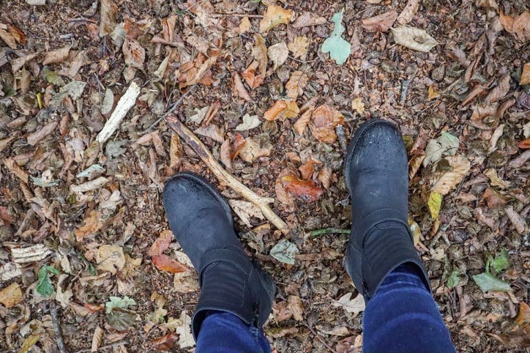 foto's van een mooie herfstwandeling