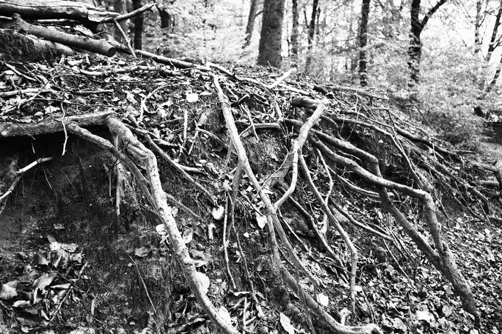 foto's van een mooie herfstwandeling