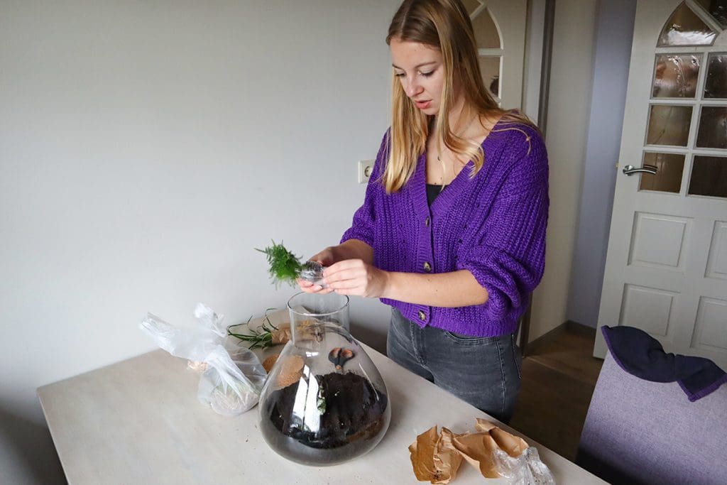 mini-ecosysteem-van-plant-rebelz