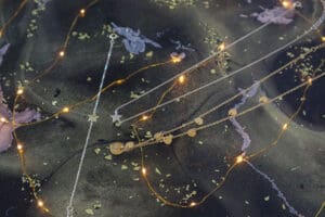 tips bij gouden sieraden kopen