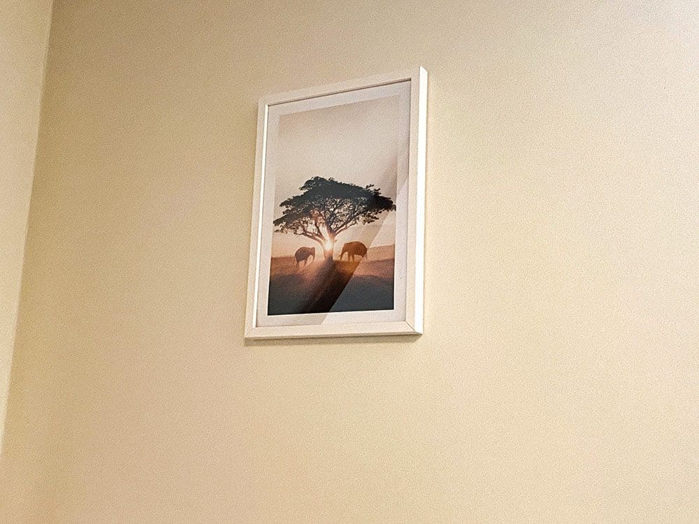 nieuwe posters van Gallerix