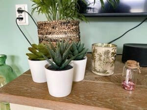 waarom kunstplanten tegenwoordig zo populair zijn