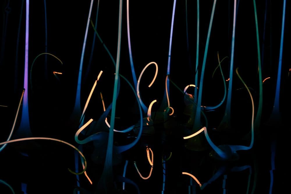 met deze 5 glamorous items maak jij je party nog leuker