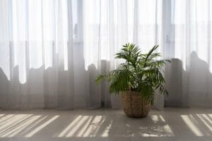 Milieubewuste keuzes voor raamdecoratie