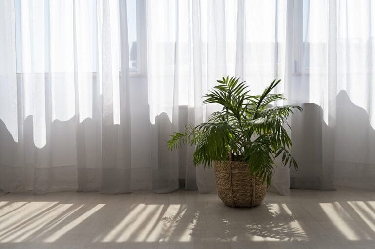 Milieubewuste keuzes voor raamdecoratie