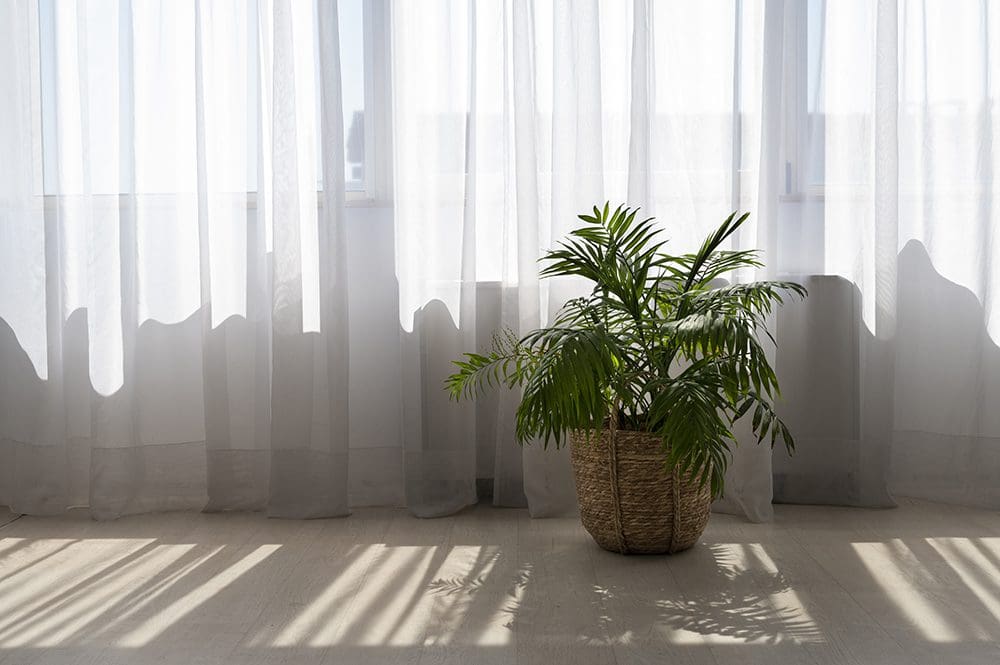 Milieubewuste keuzes voor raamdecoratie